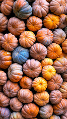 Colorful pumpkins stacked together for fall season