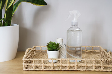 Tray with bottle of aroma spray and plant on shelf in room, closeup