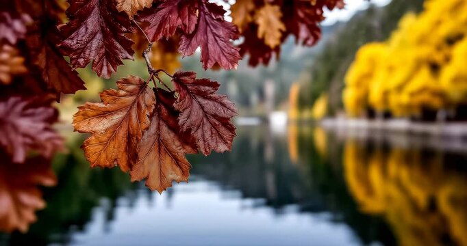 Ornate mirror reflecting different autumn scenes, baroque frame details, magical transitions between reflections, rich color palette