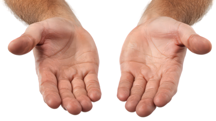 Close Up of a Pair of Rough Textured Hands Against a Transparent Background