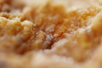 Macro shot of fungal spores growth on tofu pok surface