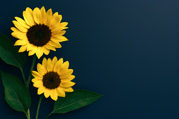 Bright Yellow Sunflowers on Deep Blue Background
