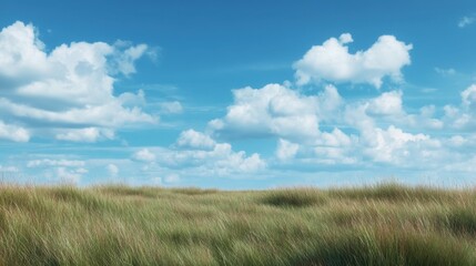 Obraz premium Expansive Green Grass Field Under Bright Blue Sky with Fluffy White Clouds