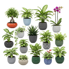 Collection of various potted houseplants and flowers isolated on transparent background