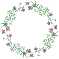 Isolated vector illustration. Round floral decor or frame. Wreath of wild flowers. Gillyflower or carnation. Matthiola bicornis. Clove blossom.