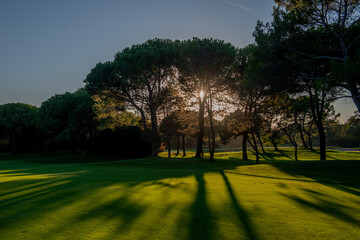 Lignano Sabbiadoro golf course