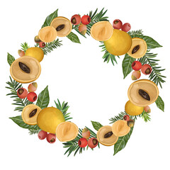 Fresh summer fruits and vegetables border frame with apples, strawberries, carrots, and tomatoes for a healthy vegetarian food collection