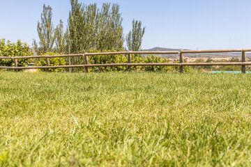 Summer landscape with a green lawn and a wooden fence in foreground