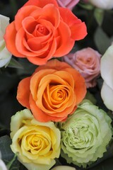 Naklejka premium bunch of roses