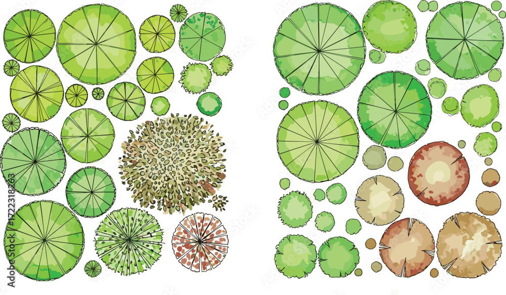 Wall mural a diverse collection of top view tree plan symbols for landscape design and architectural rendering.