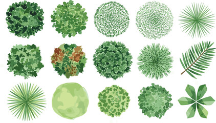 Top View Collection of Lush Green Foliage Trees, Shrubs, and Plants for Design Projects