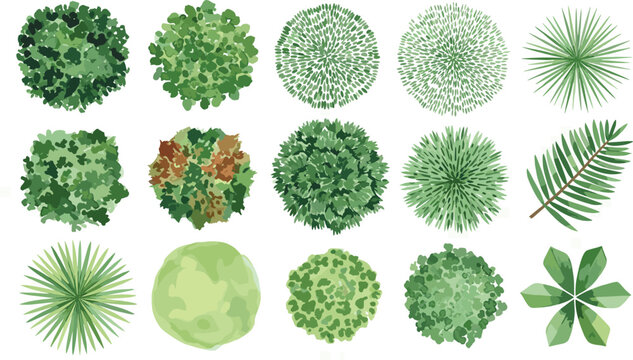Top View Collection of Lush Green Foliage Trees, Shrubs, and Plants for Design Projects