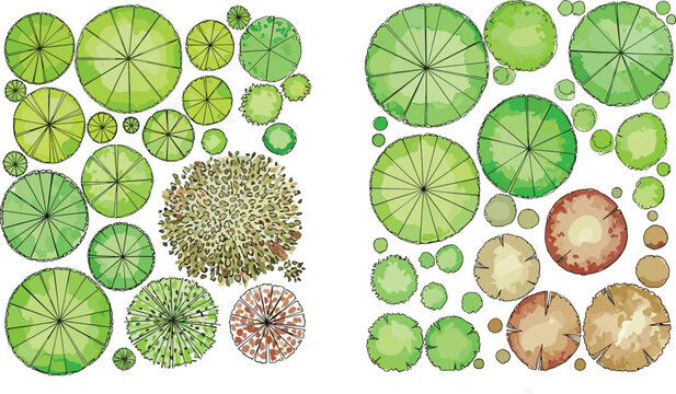 A diverse collection of top view tree plan symbols for landscape design and architectural rendering. Set of vector plant elements for site mapping