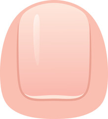 A clear anatomical illustration of a human toenail, showing nail plate, surrounding cuticle, and realistic color tones