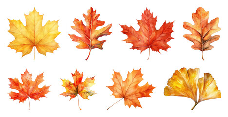Vibrant autumn leaves collection illustration.