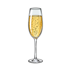 Realistic Vector Illustration of a Champagne Bottle and Glass with Bubbles
