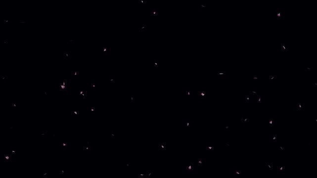 Falling cherry blossom loop animation on black background. Cherry blossom petals flying particle animation. Cherry blossom flower petals flying across the dark screen. Blossoms fall start to end. - Powered by Adobe