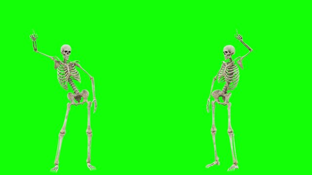 skeleton dancing 3d loop animation green screen