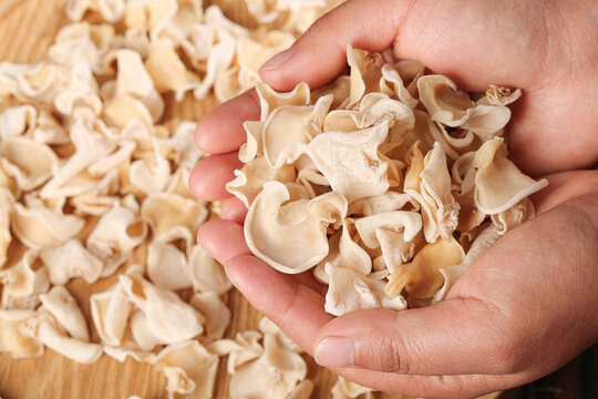 Dried White Jade Ear Mushrooms from Changbaishan - Traditional Asian Medicinal Fungi Specialty Ingredient