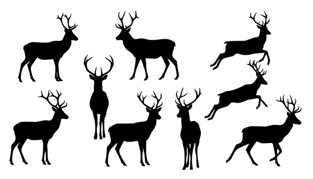 Wapiti Deer Silhouettes
