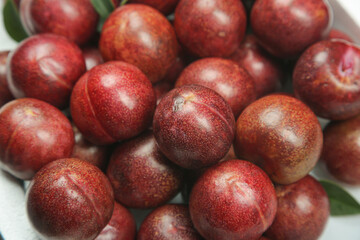 Fresh Red Plums in Bowl - Healthy Organic Stone Fruit Collection
