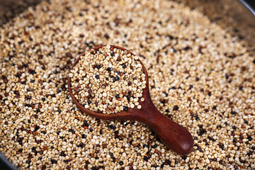 Tricolor Quinoa Seeds in Wooden Spoon - Healthy Superfood Grain Mixture for Nutritious Cooking