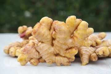 Fresh Yellow Ginger Roots from Yunnan Plateau - Organic Small Rhizomes for Cooking and Traditional Medicine