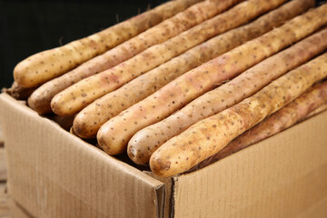 Fresh Chinese Yam Roots in Cardboard Box - Organic Farm Produce Ready for Market