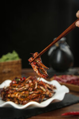 Deep Fried Grasshoppers Shandong Style - Traditional Chinese Insect Cuisine with Chopsticks