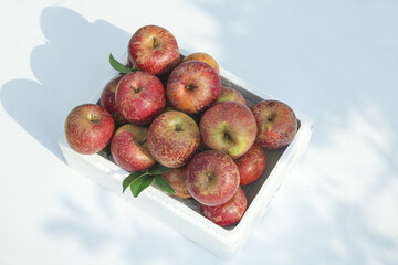 Fresh Red Apples in White Wooden Crate - Natural Organic Fruit Display with Rustic Farm Appeal