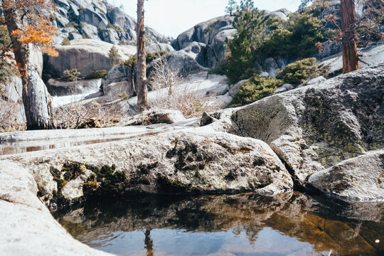 Pinecrest Lake Loop