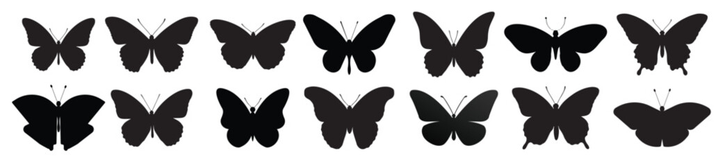 butterfly silhouette white background 