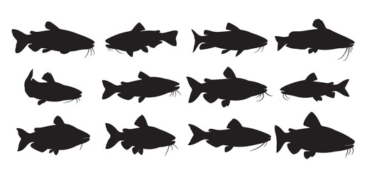 cat fish silhouette white background