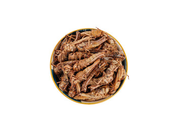 Dried Locusts in Bowl - Edible Insects Alternative Protein Food