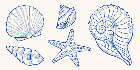 Collection of hand drawn blue line art seashells and starfish on a cream background