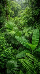 Lush dense tropical foliage fills the frame featuring large vibrant green palm leaves banana-like plants and ferns in a misty verdant jungle