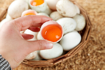 Fresh Duck Eggs with Orange Yolks in Wicker Basket - Free Range Farm Products