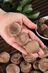 Fresh dried shiitake mushrooms in hand - natural cooking ingredients for healthy cuisine and culinary preparation