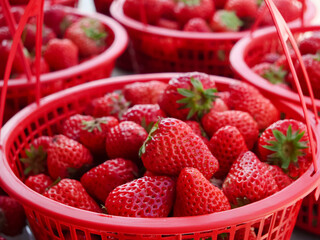 Fresh Strawberries in Red Baskets at Dandong Daliangshan Market Display