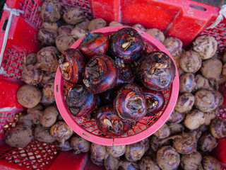 Fresh Water Chestnuts in Pink Basket at Chinese Market - Traditional Agricultural Produce from Guangxi Hubei