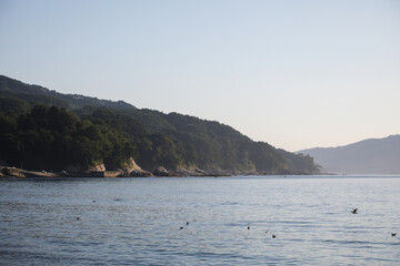 Naklejka premium 早朝の海辺