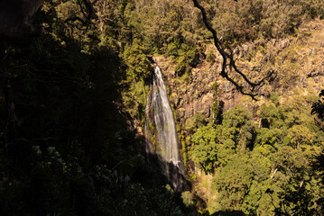 Morans Falls in Lamington National Park, Queensland, Australia. The falls are narrow, but eighty metres tall.