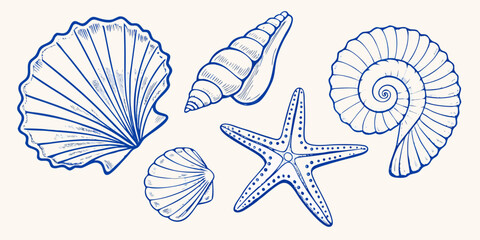 Collection of hand drawn blue line art seashells and starfish on a light background