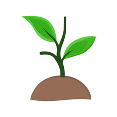 Illustration of a Sprout in the Soil