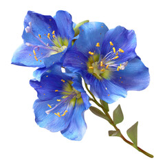 Vibrant Blue Wildflowers Blooming in Springtime Outdoors Isolated On Transparent Background.