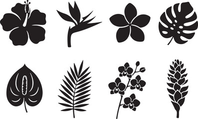 Floral Silhouettes Collection: An artistic display of eight exquisite botanical silhouettes in monochromatic elegance, each a striking depiction of flora and fauna.