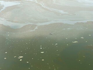 Abstract texture of a murky water surface with floating bubbles