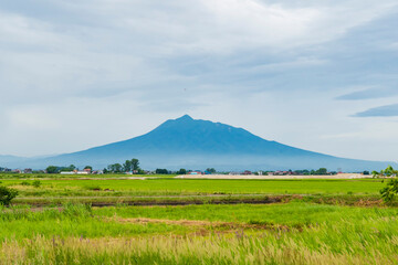 津軽平野から望む岩木山