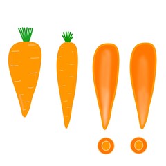 Cartoon carrot illustration. Hand-drawn carrot vegetable icon. Orange carrot fruit symbol.