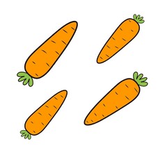 Cartoon carrot illustration. Hand-drawn carrot vegetable icon. Orange carrot fruit symbol.